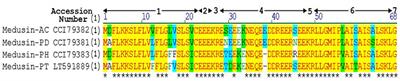 Targeted Modification of a Novel Amphibian Antimicrobial Peptide from Phyllomedusa tarsius to Enhance Its Activity against MRSA and Microbial Biofilm
